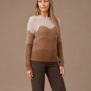 Artigli Abbigliamento Maglia multicolor 